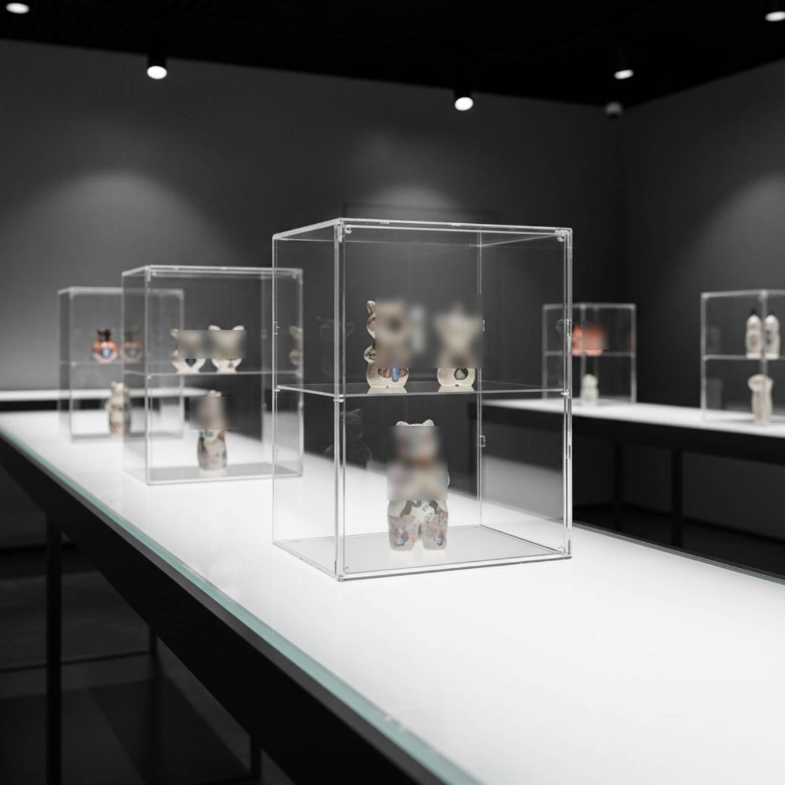 Estante de exhibición grande d - Display Case Acrylic reseña y precio